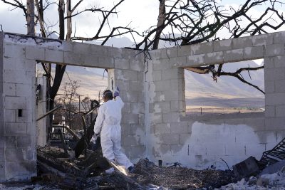 After Debris Removal, Lahaina Fire Survivor Left With Blank Slate For Future Home