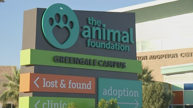 Exterior shot of The Animal Foundation in Las Vegas, NV