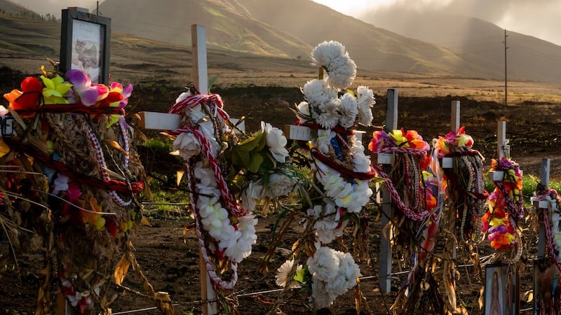 Leis and flowers adorn crosses at a memorial for victims of the August wildfire above the...