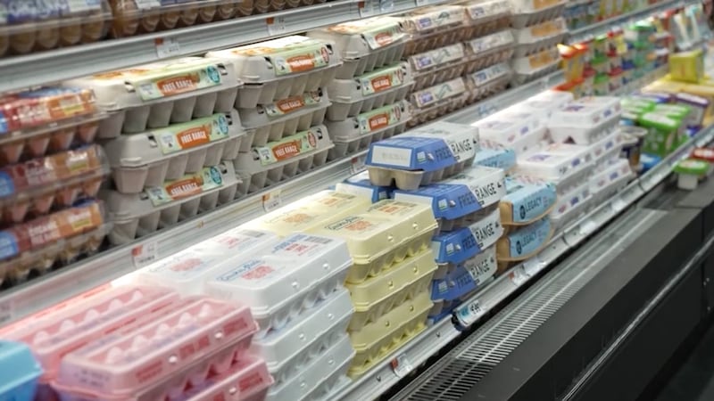 A carton of a dozen Grade A eggs now costs $3.65 on average, according to the Bureau of Labor...