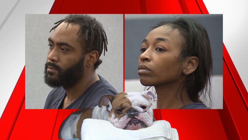 Suspects arrested in bulldog Las Vegas animal cruelty case