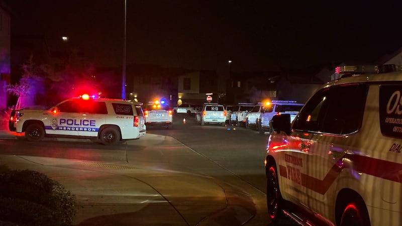 New details on a family disturbance incident that occured in the Inspirada neighborhood in...